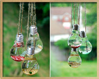 small-bulb