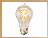 lightbulb
