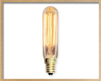 lightbulb