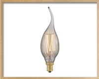 lightbulb