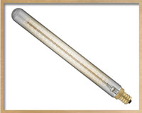 lightbulb